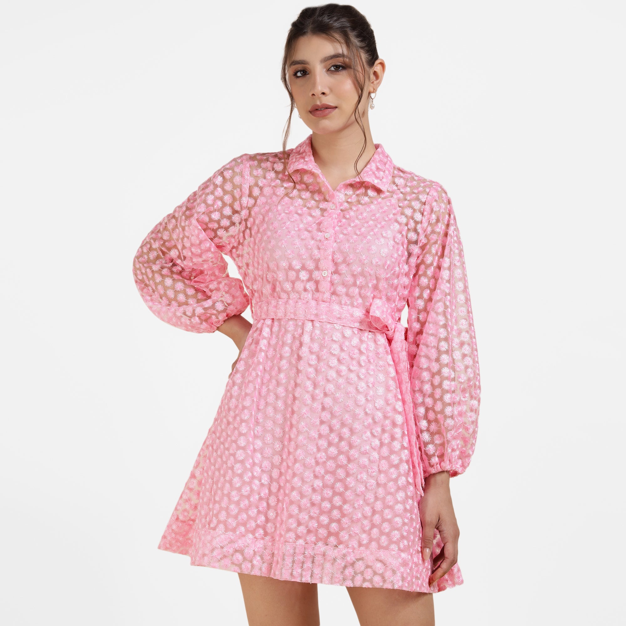 Sheer Embroidered Shirt Collar Mini Dress – Blush Pink